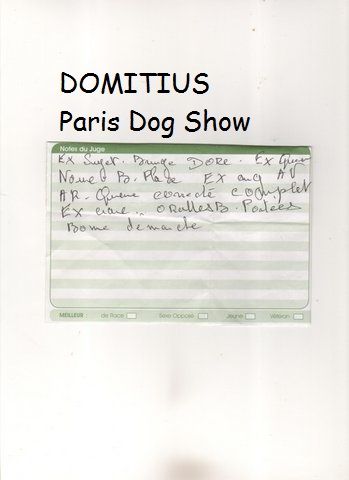 de la tour Cedriere - Paris Dog Show:Commentaire Exceptionnel pour DOMITIUS