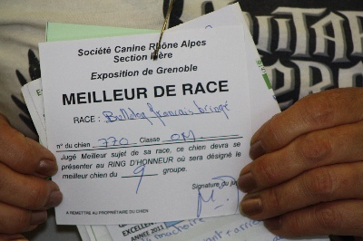 de la tour Cedriere - DOMITIUS 'MEILLEUR de RACE'