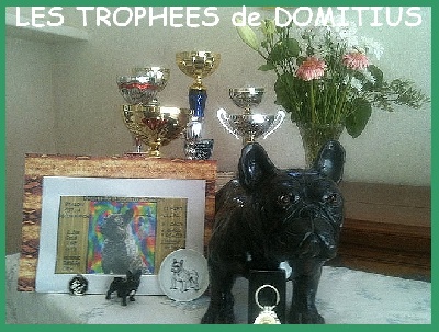 de la tour Cedriere - Les TROPHEES de DOMITIUS...