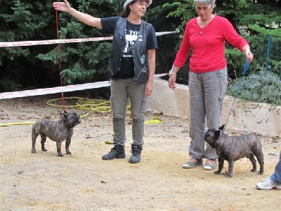 de la tour Cedriere - RE Maugio : la finale des mâles!...